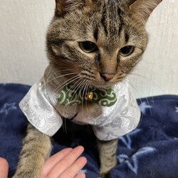 「保護活動を始めたきっかけ。」サムネイル3