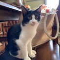 すりすり甘えん坊のアミちゃんです♡