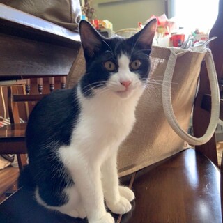 すりすり甘えん坊のアミちゃんです♡