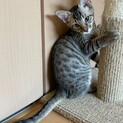 元気な男の子☆だいちくん