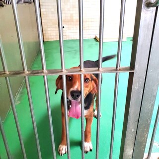 ありがとうございました！