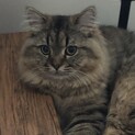 9ヶ月オス