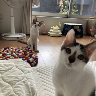 可愛い仲良し兄弟