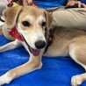 わんぱく？お調子者？[大福] サムネイル7