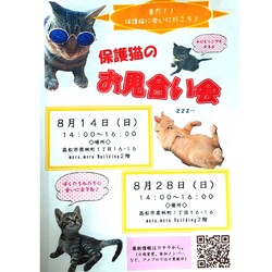 保護猫のお見合い会