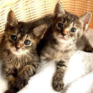 ♦エイズ陽性兄弟♦