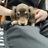 らいむ0102 さん