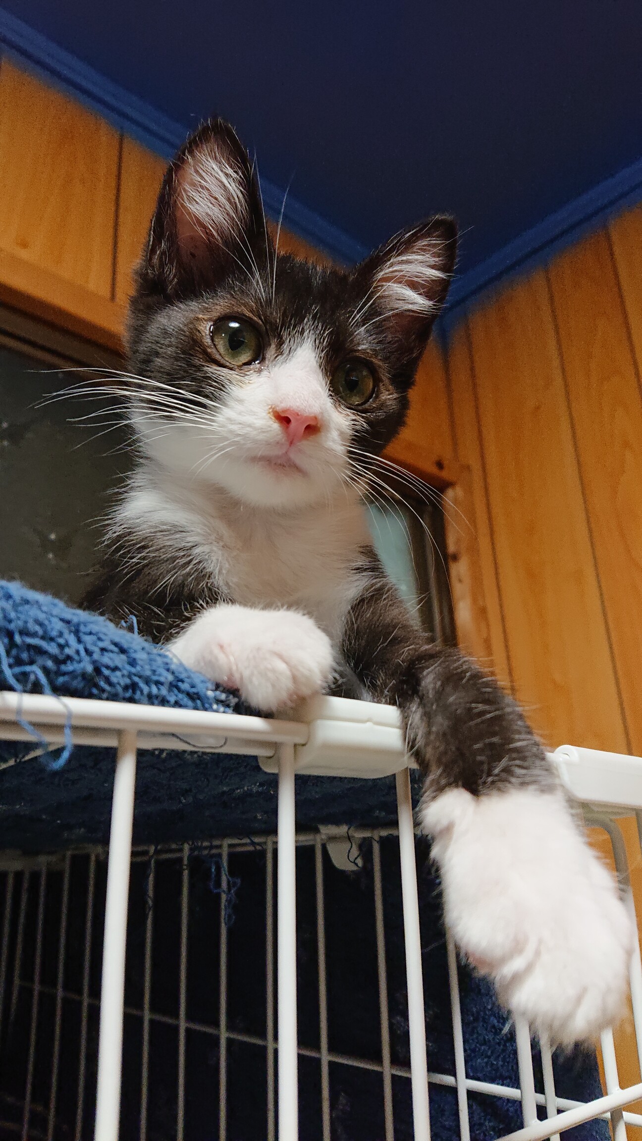 可愛い男の子B作くん サムネイル1