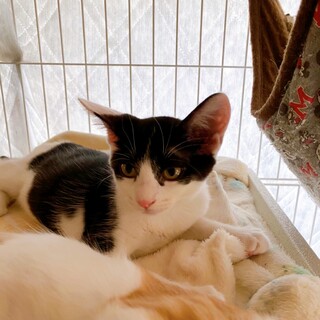 8/7西千葉ෆ⃛ワンちゃんが好きෆ⃛ゆうくん