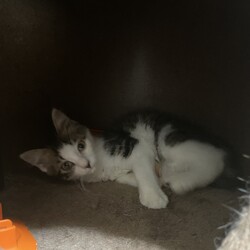 めちゃくちゃ遊んでる笑