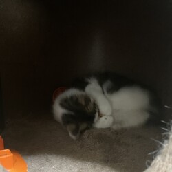 「めちゃくちゃ遊んでる笑」サムネイル2