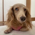 ゆうりん
