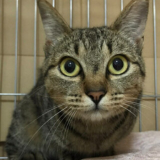 甘えん坊、みなみちゃん♪