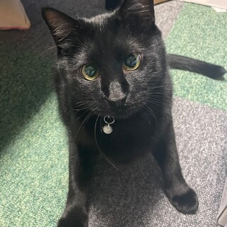 撫で撫で大好き★デイビーくん