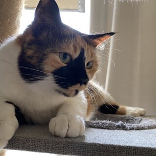 人懐っこい子たちです