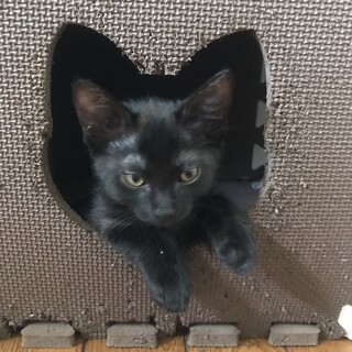 とってもマイペースなオヴィ君