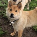 里親さんが決まりました！