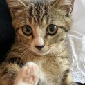 丸いおめめ☆ころんとボディのどこからどう見ても♡
