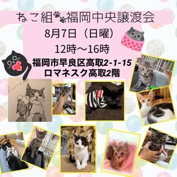 ねこ組福岡中央譲渡会in藤崎