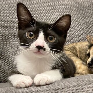 【別の場所でご縁を頂きました】おヒザ大好き♥