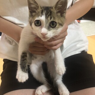 ずっとのお家に行きました！