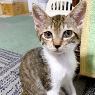 8/21西千葉ෆ⃛愛されキャラですෆ⃛めいちゃん