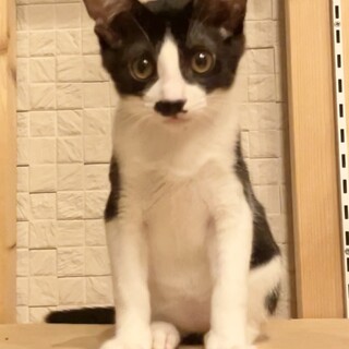 【別の場所でご縁を頂きました】‬揉み職人♥