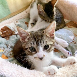 8/21西千葉ෆ⃛活発な子ですෆ⃛やべちゃん