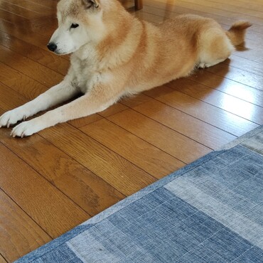 こっちも暑かったよ〜(；´Д｀)雷さんや皆には負けるけど〜36.2℃⊙.☉〜体温か〜‼