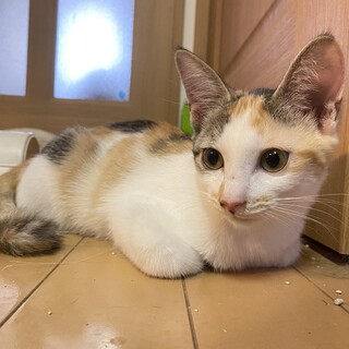 みのるくんと仲良しわかばちゃん