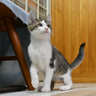 抱っこでゴロゴロ、(^^♪