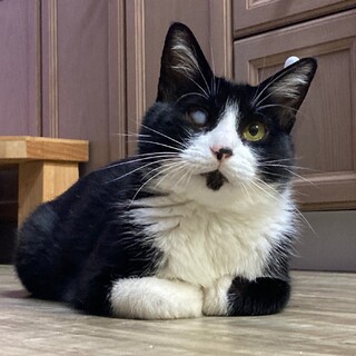 ハンディなんて跳ね返せ！