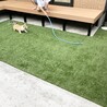 旦那にホース遊びしてもらってハイテンション☺️