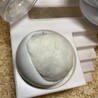 もちこ餌を食べて丸もちになる。