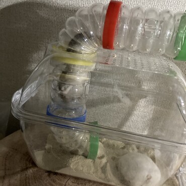 おふくのためにトンネル抜けてあいにきた。