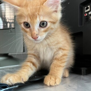 ずっとのおうちがみつかりました(^^)