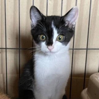 甘えん坊のジュン君