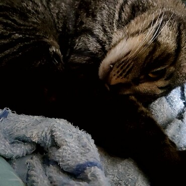 寝てるのに完全に目が開いていて