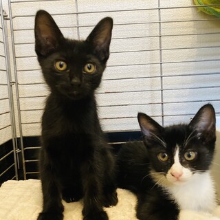 8/4 仲良し美人姉妹