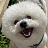 笑顔！