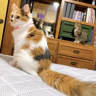 8/7西千葉ෆ⃛離島から来ましたෆ⃛まりんちゃん