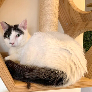 おっとりな【フルタくん】