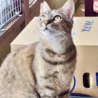 人と遊ぶことが大好き