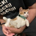 【里親様　決定】ご応募ありがとうございました