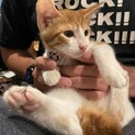 男の子、5/6生まれです