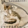 ちょっとおバカな2ヶ月半の男の子 サムネイル2