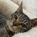 事故から無事生還したユルくん♪