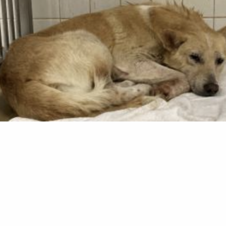 期限が１週間しかありません