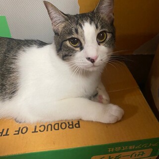 優しいわんぱくぼくちゃん1歳