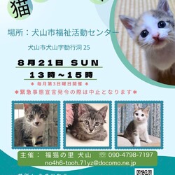 ねこの譲渡会＠犬山市福祉活動センター